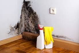 Dehumidification Services in Rosemead, CA